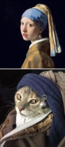 Releitura de Moça com brinco de Pérola - Fonte: Johannes Vermeer - LorenzoTheCat - Via Mistérios do Mundo