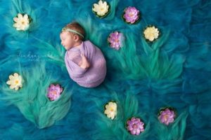 Lírios de Água (Claude Monet ) - Foto de Lindsay Walden / Divulgação - Hypeness