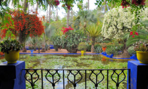 Jardin Majorelle - Fonte BrasilianTimes